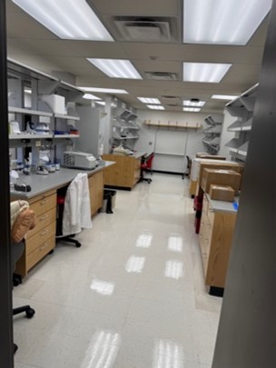Photo of the lab on the first day.